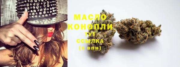 хмурый Новозыбков