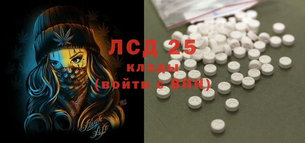 хмурый Новозыбков