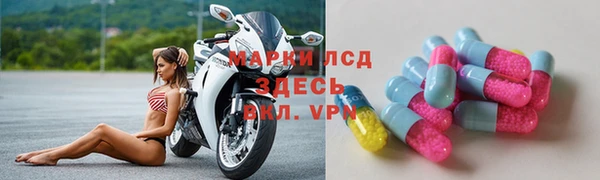 хмурый Новозыбков