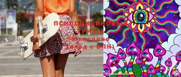МДПВ Нея