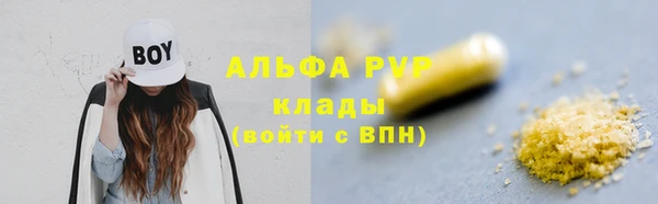 хмурый Новозыбков