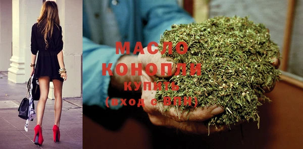 хмурый Новозыбков