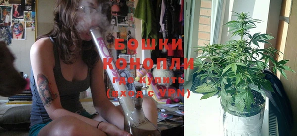 хмурый Новозыбков
